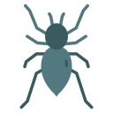 tarántula icon