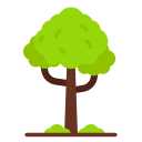 Árbol icon