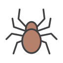 araña icon