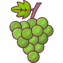 uvas icon