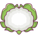 coliflor icon