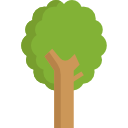 Árbol icon