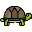 tortuga 