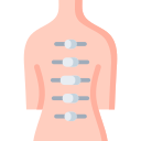 osteoterapia 