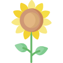 girasol icon