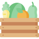 caja de frutas icon