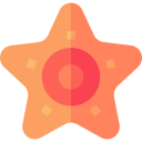 estrella de mar icon