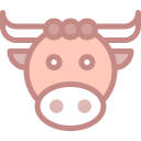 bœuf 