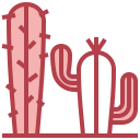 cactus icon