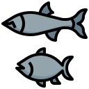 pescado icon