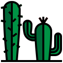 cactus icon