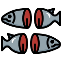 salmón icon