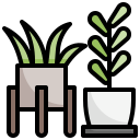 plantar