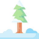 Pine tree 