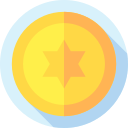 moneda icon