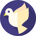 paloma icon