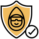 la seguridad cibernética icon