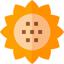 girasol icon