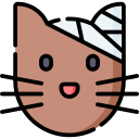 gato icon