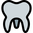 molar 