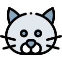 gato icon