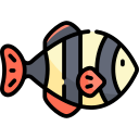 pescado