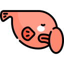 blobfish icon