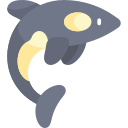 orca icon