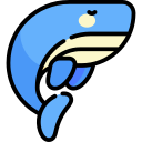 ballena icon