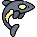 orca icon