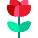 rosa icon