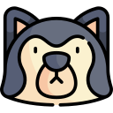 husky siberiano icon