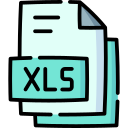 xls icon