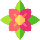 poinsettia icon