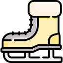 patinaje sobre hielo icon