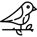 pájaro icon