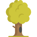 Árbol icon