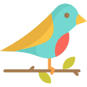 pájaro icon