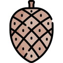 cono de pino icon