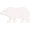 oso polar