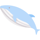 ballena