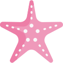 estrella de mar 