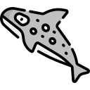 ballena icon