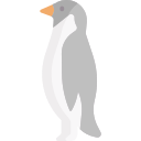 pingüino 