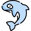 orca icon