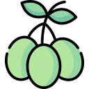 aceituna icon