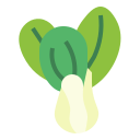 bok choy