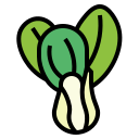 bok choy icon