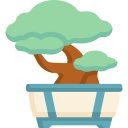 bonsai icon