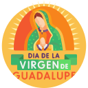 virgen de guadalupe 